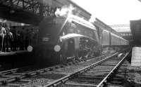 60019 <I>Bittern</I> stands at Aberdeen on 3 September 1966 after bringing in the last scheduled BR A4 return service to operate from Glasgow Buchanan Street.<br><br>[K A Gray 03/09/1966]