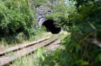 The trackbed and tunnel under Brunel's suspension bridge on Bristol's Portbury branch. You will note the vegetation getting a grip. I spoke to a passing PW ganger who informed me that, as the line runs through a SSSI zone, they are not allowed to use weedkiller. So long as the growing grass/weeds do not affect the passage of freight trains it will not be touched.<br>
<br><br>[Peter Todd 30/07/2010]