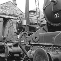 Front ends. Black 5s on shed at Lostock Hall in 1966.<br><br>[Jim Peebles //1966]