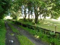 The remains of the passenger platform at Knock looking north towards Glenbarry, with the posts for the running in board still intact. Like so many station sites nowadays it is enveloped by mature tree growth.<br><br>[John Williamson 05/08/2010]