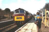 A <I>Western</I> diesel hydraulic locomotive brings a train into Arley station on the Severn Valley line in 1979.<br><br>[Bruce McCartney //1979]