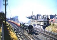 Smart looking A2 Pacific no 60537 <I>Bachelor's Button</I>, photographed passing Craigentinny box on 28 July 1955 with the up <I>Heart of Midlothian</I>.<br><br>[A Snapper (Courtesy Bruce McCartney) 28/07/1955]