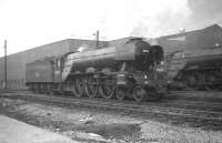 A3 Pacific no 60042 <I>Singapore</I> stands on Gateshead shed on turnaound pending working an ECML service back to Edinburgh. Thought to have been taken in early 1964, with 60042 being withdrawn from 64A in July of that year. The A3 is standing alongside Peppercorn A1 no 60134 <I>Foxhunter</I> who's own retirement would come at Neville Hill shed, Leeds, in October the following year.  <br><br>[K A Gray //1964]