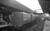 Scene at Buchanan Street in August 1965 with A4 Pacific no 60026 <I>Miles Beevor</I> about to reverse back from the buffer stops and head for St Rollox shed having brought in the 7.10am from Aberdeen.<br><br>[K A Gray 31/08/1965]