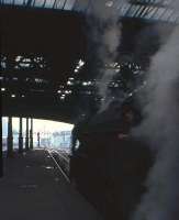 The distinctive smoke deflector stands out from the gloom in this 2nd May 1964 shot of an A1 simmering at the east end of Waverley waiting for the 'off'. <br>
<br><br>[Frank Spaven Collection (Courtesy David Spaven) 02/05/1964]