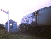 60009 <I>'Union of South Africa'</I> in steam on the Lochty Private Railway in September 1969.<br><br>[Jim Peebles /09/1969]