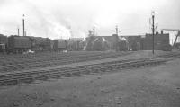 Shed scene at 16D Annesley, Nottinghamshire, in August 1960 with a number of BR class 9Fs on display. The shed and its associated yard stood at the northern end of the former Great Central  'coal corridor' linking with the yard at Woodford Halse in Northamptonshire. In later years it became well known for the performances of the 9Fs that dominated the route, hauling the rapid-turnaround unfitted freights known as 'runners' between the two locations. During the 1959/60 period Annesley's allocation of 76 locomotives included no less than 31 of the big 2-10-0s. Annesley shed was officially closed on 3 January 1966, with Woodford Halse having shut down 6 months earlier.<br><br>[K A Gray 28/08/1960]