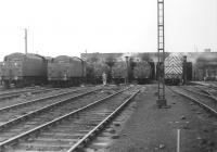 A selection of back ends on Rose Grove shed in 1966.<br><br>[Jim Peebles //1966]