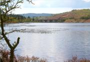 View south over Loch Stroan towards the Stroan Viaduct, which  carried the Dumfries - Stranraer line across the southern narrows of the Loch between New Galloway and Gatehouse of Fleet. Just beyond the viaduct the Black Water of Dee exits the Loch and runs south towards Kirkcudbright Bay and the Solway Firth. The line closed in 1965.<br><br>[John Furnevel 12/05/2010]