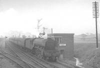 With more than a hint of fog hanging over the East Coast Main Line,  A3 Pacific no 60070 <I>Gladiateur</I> takes a train north on the approach to Benton Quarry Junction in the summer of 1963. The splitting distant signals for the junction can be seen above the locomotive. The train, the 8.35am Scarborough - Glasgow Queen Street, is passing the former Little Benton sidings (left), with Little Benton North signal box on the right (the South box was located on the nearside of the bridge in the background). Little Benton sidings and its associated signal boxes had gone prior to the end of steam.<br><br>[K A Gray 15/06/1963]
