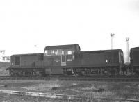 Clayton no D8505 at Millerhill depot on a Sunday afternoon in November 1969. Barely a year earlier, in December 1968, it had been seen in store in the old steam shed at Kingmoor, having been withdrawn after only about five years of service. However, it was subsequently reinstated and worked from both Polmadie and Haymarket depots before final withdrawal. <br><br>[Bill Jamieson 02/11/1969]