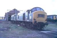 A pair of <I>Baby Deltics,</I> as the ten EE Type 2 Class 23 locos were dubbed, standing withdrawn at Stratford Depot in 1971. These examples are D5905, in green, and D5909, the only one to receive blue livery. From here they were taken away for scrapping, which then left only D5901 in existence at the Research Centre, Derby. When D5901 was later scrapped the class became extinct but the <I>Baby Deltic Project</I> has recently announced via its website  that it intends to construct a replica using a Class 37 as donor locomotive. <br><br>[Mark Bartlett //1971]