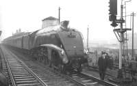 Photostop at Wigan North Western on 25 November 1967. The train is the MRTS <i>Mancunian</i>, which started and terminated at Leeds City and was hauled by A4 Pacific no 60019 <I>Bittern</I> throughout.<br><br>[K A Gray /11/1967]