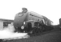 <h4><a href='/locations/L/Lochty'>Lochty</a></h4><p><small><a href='/companies/E/East_Fife_Central_Railway'>East Fife Central Railway</a></small></p><p>Privately preserved A4 Pacific no 60009 <I>Union of South Africa</I> at Lochty in September 1969.</p><p>/09/1969<br><small><a href='/contributors/Jim_Peebles'>Jim Peebles</a></small></p>