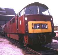 A <I>Western</I> diesel-hydraulic on shed at Old Oak Common in October 1968. <br><br>[Jim Peebles /10/1968]