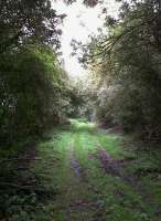 A delightful woodland scene, but distinctly mushy underfoot. View along the SMJ trackbed in October 2010, looking east towards Ravenstone Wood Junction.<br><br>[Ken Strachan 02/10/2010]