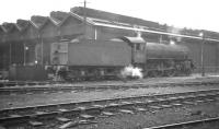 B1 4-6-0 no 61035, missing its <I>Pronghorn</I> nameplate, stands alongside Mirfield shed (56D) on 13 November 1966. The York based locomotive was withdrawn by BR a month later.<br><br>[K A Gray 13/11/1966]