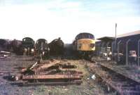 Scrapyard scene at Barry in July 1976.<br><br>[Ian Dinmore /07/1976]