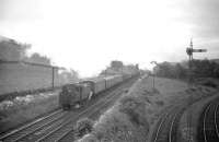 One of Beattock shed's finest gets to grips with a heavy northbound parcels train at the start of the climb towards the summit in 1965. The train locomotive in this case is 72008 <I>Clan MacLeod</I> [see image 29914]. To the right of the photograph the Moffat branch turns off to the east.<br><br>[Robin Barbour Collection (Courtesy Bruce McCartney) //1965]