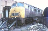 Withdrawn Class 42 <I>Warship</I> D809 <I>Champion</I> languishes at Old Oak Common behind three stored Hymek Class 35s. Whilst a large number of the class spent their final years in blue livery D809 was withdrawn from Newton Abbot in October 1971 while still carrying maroon paintwork. By October 1972 it had been called into Swindon and broken up. [See image 23251] for a view from the other end of this siding.<br><br>[Mark Bartlett //1972]