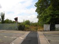 View over the former Cotton End level crossing in Northampton to what is now 'forest' enveloping the middle section of the old Bedford line. The Brackmills section, near lines end, is weed free and appears to see occasional use. [see image 31179] View is north west towards Northampton on 4 August 2010.<br><br>[David Pesterfield 04/08/2010]