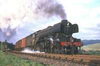 A3 Pacific no 60052 <i>Prince Palatine</i> with a Millerhill - Kingmoor freight, photographed near Stobs in October 1964. <br><br>[Robin Barbour Collection (Courtesy Bruce McCartney) 11/10/1964]