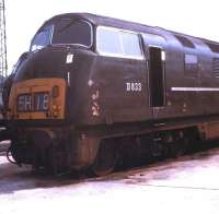 'Warship' diesel hydraulic type 4 (later class 43) no D833 <i>Panther</i> photographed at Old Oak Common in October 1968. Withdrawn by BR in October 1971 the locomotive was cut up at Swindon in February 1972.<br><br>[Jim Peebles /10/1968]