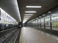 Of the 15 Glasgow Subway stations 9 have island platforms, 3 have <br>
standard facing platforms and 3 have a sort of compromise where a <br>
standard platform faces the glass wall on one side of an 'island' <br>
platform - easier seen than explained - as here at Buchanan Street, <br>
photographed on 16 October from the Inner Circle platform with the Outer visible through the glass. If the idea is to save space (you work it out) while having safer, separate platforms then it doesn't seem to have caught on elsewhere.<br>
<br><br>[David Panton 16/10/2010]