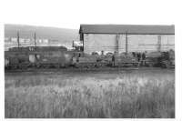 41D Canklow Shed loco line up on the 13th of March 1966, comprising L-R tanks engines 41708; 41533; 41734; 41528; & 47001.The smokebox of 61051 is just visible on right, and 9F 92201 rests beyond the coaling stage line.<br><br>[David Pesterfield 13/03/1966]