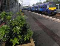 A North Clyde Line service at Carntyne station on 7 October [see news item].<br><br>[John Yellowlees 07/10/2013]