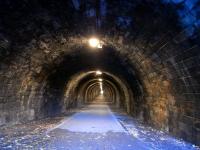 A look southeast into the tunnel at St Leonards.  Originally horses were used for haulage and would have clopped along here even when steam was becoming commonplace.  This supposedly led to the nickname 'The Innocent Railway' but, like all such names, you have to wonder just who, if anybody, called it that. [See image 17619] <br><br>[David Panton 30/10/2010]