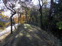 A look along the embankment of a railway which closed over 150 years <br>
ago. This was part of the Leith arm of the Edinburgh & Dalkeith Railway, photographed in October 2010. The line here ran parallel with Baileyfield Road which is to the left. Somewhere around here was the first Portobello Station.Because of the period and the nature of the line I don't imagine it was very substantial and there's certainly nothing to see today. It appears to be autumn on the left of the picture and spring on the right. I don't remember noticing this at the time; I think my camera is possessed.<br><br>[David Panton 30/10/2010]