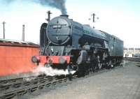 Resident A2 Pacific no 60535 <I>Hornet's Beauty</I> stands on Haymarket shed in the summer of 1959.<br><br>[A Snapper (Courtesy Bruce McCartney) 04/07/1959]