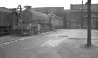 Class O1 2-8-0 no 63711 photographed on Annesley shed in the summer of 1960.<br><br>[K A Gray 28/08/1960]