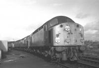 Class 40 no 257 at the head of a line of Type 4 power sitting out� <br>
the weekend at Millerhill depot on Sunday 2 November 1969. [The photographer's means of transport was the no 14 bus to Newcraighall and then Shank's pony - not the Morris Minor visible on the right.]<br><br>[Bill Jamieson 02/11/1969]