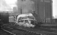 60019 <I>Bittern</I> stands on Balornock Shed in October 1963, while in the background construction work continues apace on what was   seen as the solution to Glasgow's acute housing shortage.<br><br>[K A Gray 20/10/1965]