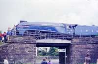 Looking at this picture its a wonder main line steam has continued and thrives. How close a look at the engine did they want? 4498 pauses on the overbridge at Ravenglass on one of the early Cumbrian Coast workings, this particular one believed to have been from Blackpool North to Ravenglass, and steam hauled from Carnforth by A4 4498 <I>Sir Nigel Gresley</I>.  <br><br>[David Hindle 23/08/1978]