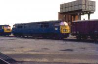 A <I>Western</I> Type 4 diesel hydraulic locomotive, with name and number plates removed, photographed on Old Oak Common shed around 1976. Believed to be D1028 <I>Western Hussar</I> or D1071 <I>Western Renown</I> [With thanks to all who contributed to this query including Dave Blake who identified the possible locos based on cab vents and lack of headboard clips.].<br>
<br><br>[Mark Bartlett //1976]