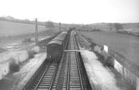 Looking south towards Hawick from the footbridge at Belses station in the mid sixties as a Millerhill - Carlisle freight heads south behind an EE Type 4 locomotive.<br><br>[Robin Barbour Collection (Courtesy Bruce McCartney) //]