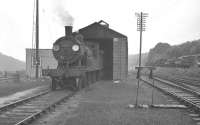 Drummond T9 <I>Greyhound</I> 4-4-0 no 30313 standing outside Okehampton shed in the summer of 1960.<br><br>[K A Gray 11/08/1960]