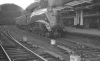 A4 Pacific no 60022 <I>Mallard</I> photographed following arrival at Newcastle Central on 17 June 1961 with the 10.00 London Kings Cross - Edinburgh Waverley.<br><br>[K A Gray 17/06/1961]