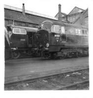 North British built diesel hydraulics D6303 and Warship D835 <I>Pegasus</I> standing together outside Swindon Works on 6 May 1961.<br><br>[David Pesterfield 06/05/1961]