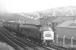 An unidentified <I>Peak</I> takes the 9.30am Edinburgh Waverley - Carlisle/St Pancras train south past Loch Park PW depot shortly after leaving Hawick during the 1968/69 Christmas/New Year period.<br><br>[K A Gray //]