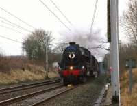 The Winter 'Cumbrian Mountain Express' from Manchester to Carlisle hauled by 44871 and 5690 climbing northwards at Yealand Steps between Carnforth and Oxenholme on 30 December 2010. The wreath and headboard are tributes to WCRC railwayman Paul Kane who died suddenly after being taken ill on the footplate of 60019 <I>Bittern</I> on a special between York and Kings Cross on 18 December 2010.<br>
<br><br>[John McIntyre 30/12/2010]