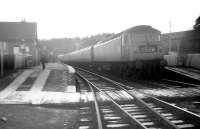 The 8.50am St Pancras - Edinburgh Waverley train (3.58pm ex-Carlisle) calls at Newcastleton on 28 December 1968. The locomotive in charge is Brush Type 4 no 1536 and the headcode should read 1S65. [See image 26129]<br><br>[Robin Barbour Collection (Courtesy Bruce McCartney) 28/12/1968]