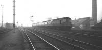 While far from ideal photographic conditions (see the marker lights on the leading loco), this shot seems to capture the  essence of how I remember late autumn/winter afternoons in Edinburgh in the late sixties/early seventies. It shows a pair of class 26s passing Haymarket depot with the 14.50 Edinburgh Waverley - Inverness (green D5335 and blue D5344, both of Inveness). Having restarted from its first stop at Haymarket the train will travel via the Glenfarg line, calling at Inverkeithing, Rosyth Halt, Dunfermline, Cowdenbeath and Kinross Junction to reach Perth at 16.03, quicker, if only by a few minutes, than the equivalent service today which stops only at Kirkcaldy and Markinch.<br>
<br><br>[Bill Jamieson 22/10/1969]