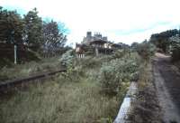 Melrose station photographed in June 1985 during its wilderness years. The view looks east towards Ravenswood Junction and St Boswells. Since 1985 the station building has been restored [see image 13774] and is now far more visible as a bypass road has been built immediately to the south of the old trackbed. The road joins the A68 at Ravenswood Roundabout, almost on top of the old junction.<br>
<br><br>[David Panton /06/1985]