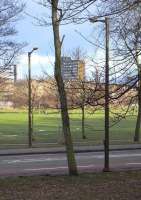 The most obvious remnants of Edinburgh's once extensive tram system are some former trampoles which were converted to street lighting after the routes closed in the mid 1950s. Melville Drive, which runs through the Meadows, has a complete set of these and a facing pair are pictured on 3 January. The fact that they are facing is a giveaway: lamp posts are usually staggered. How long before people are looking for remnants of Edinburgh's next tram system? Let's wait until it's built (and at the moment...)<br>
<br><br>[David Panton 03/01/2011]