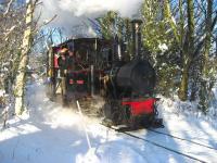 O&K 0-4-0WT No 22 <I>Montalban</I> rounds the curve between Delph and Willow Tree Halt on the West Lancashire Light Railway on 19 December 2010. The Christmas special is taking passengers young and old back to Becconsall.<br><br>[John McIntyre 19/12/2010]