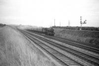 6991 <I>Acton Burnell Hall</I> passing the yards at Severn Tunnel Junction on 27 June 1959 with an up train on the GWR South Wales main line.<br><br>[Robin Barbour Collection (Courtesy Bruce McCartney) 27/06/1959]